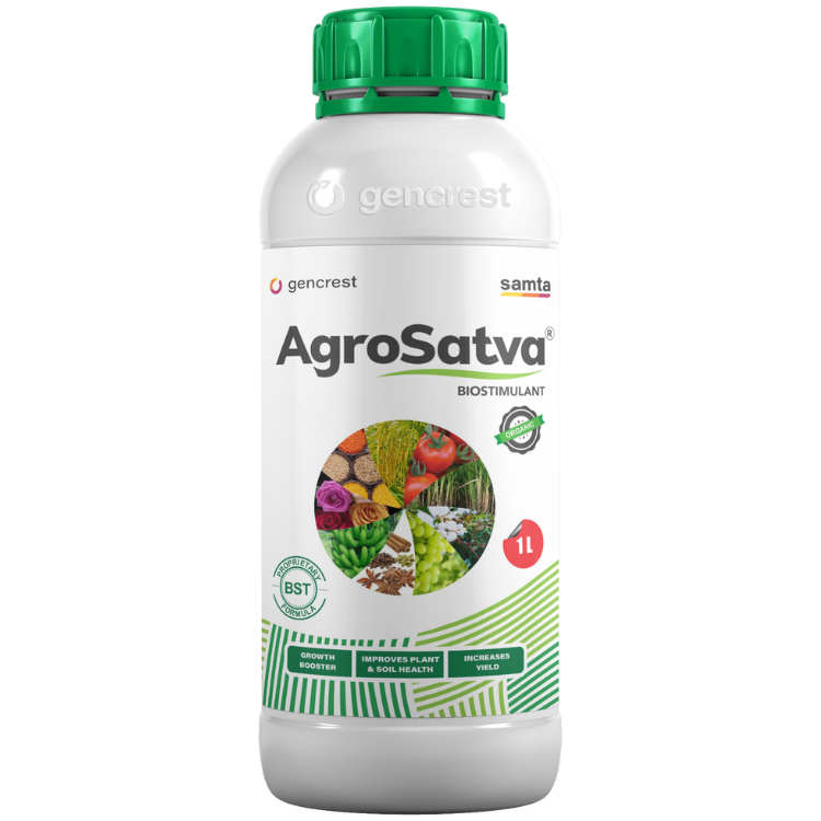 Untitled design (19)