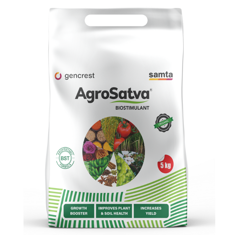 Untitled design (20)